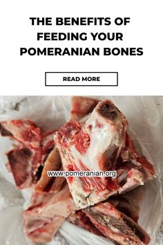 the benefits of feeding your pomegraian bones read more on pomegranatesan net