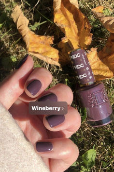 DND Wineberry Fall Nails 2024 capture the rich, luxurious hues of autumn with their stunning wineberry shade. This deep, vibrant color evokes the warmth and comfort of fall, making it a perfect choice for cozy gatherings and seasonal celebrations. Ideal for creating sophisticated manicures, the Wineberry polish offers a glossy finish that adds a touch of elegance to any look. Gel Nail Colors For Fall, Wineberry Dnd, Simple Fall Dip Nails, Nail Colors Fall 2024, Wineberry Nails, Dnd Fall Nail Colors 2024, Dnd Wineberry, Fall Nail Colors Dnd, Dnd Fall Gel Polish Colors