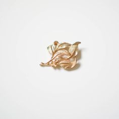 Vintage gold tone leaves brooch. This vintage brooch is in great condition! Gorgeous gold-tone metal elegant leaves design. Condition: Good Vintage Condition*Basic signs of wear on metalMeasurements: 3" x 2"Have any questions about sizing?Feel free to contact us with any questions you might have about sizing or condition! We’d be happy to offer you any additional info we might have. Need your item quick?All orders ship in 1-2 business days!Orders within the US ship Priority Mail 1-3 day delivery Gold Leaf Brooch For Gift, Vintage Gold Brooch, Gold Feathers, Leaves Design, Basic Wear, Leaf Brooch, Gold Leaves, Brooch Vintage, Gold Brooches