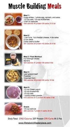 Muscle Building Meals, Muscle Meals, Muscle Building Meal Plan, Pasti Fit, Workout Meals, Exercise Muscle, Lifestyle Workout, Weight Gain Meals