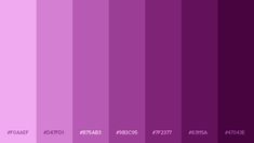 the color purple is shown in this image