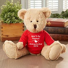 a teddy bear wearing a pink shirt sitting on a table next to books and plants