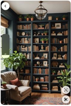 a living room filled with lots of books and plants on top of a book shelf