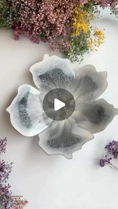 an overhead view of some flowers on a white surface with a video player in the middle