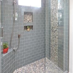 a walk in shower sitting next to a tiled wall with a starfish on it