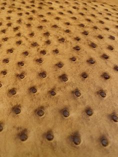 an upholstered surface with holes in it