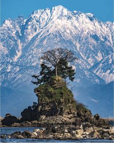 a lone tree on an island in the middle of water with mountains in the background