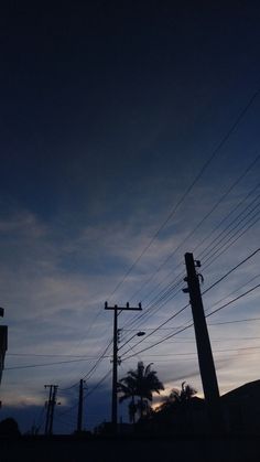 power lines and telephone poles silhouetted against the sky at dusk with palm trees in the foreground