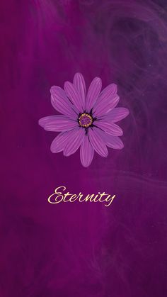 a purple flower with the word serenity written in gold on it's center