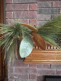 a close up of a plant on a bench