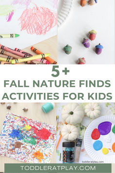 the top five fall nature finds for kids