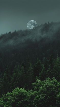 the full moon is seen above some trees on a dark, foggy day in the mountains