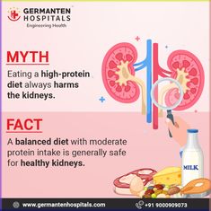 Sugar Withdrawal Symptoms, High Antioxidant Foods, Homemade Cough Remedies, Anti Oxidant Foods, Health Myths, Healthy Kidneys, Kidney Damage, Protein Intake, Protein Power