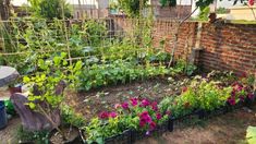 a garden with many different types of plants growing in the ground and surrounded by brick walls