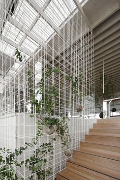 a staircase with plants growing on it and white wire covering the railings above them