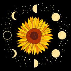 a sunflower with moon phases in the background