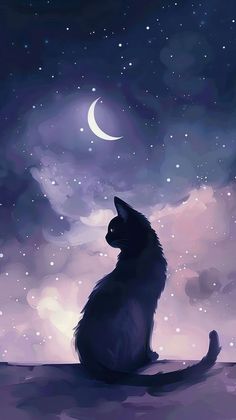 Therian Wallpaper Cat, Cute Wallpapers Cat, Cat Background Wallpapers, Cat Illustration Wallpaper, Cute Cat Wallpaper Aesthetic, Cute Cat Background, Cat Drawing Wallpaper, Wallpaper Aesthetic Cat, Black Cat Wallpaper