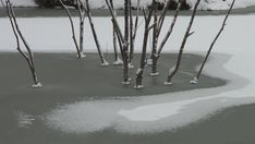 the snow is melting on the ground next to some bare tree branches and water with ice in it