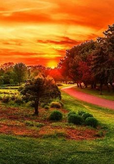 the sun is setting over an open field with trees and grass in front of it