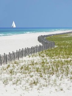 an image of a beach scene with the words dear brother and sister in white on it