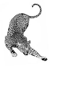 a black and white photo of a cheetah in the air with its tail extended