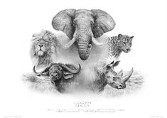 an elephant and other animals are depicted in this black and white drawing, with the caption just for africa