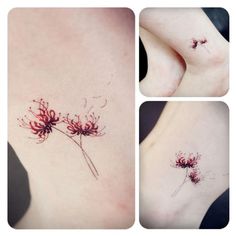 three pictures of flowers on the side of their legs, and one has a small flower in it's center