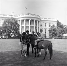 four people standing around a horse in front of the white house