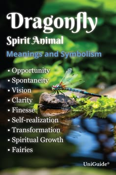 the front cover of dragonfly spirit animal meanings and symbolism, with an image of a