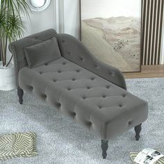 a gray couch sitting on top of a carpeted floor next to a potted plant