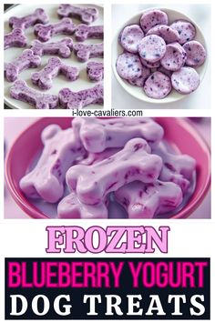 If you're looking for a cool and nutritious snack for your furry friend, try our homemade frozen blueberry yogurt dog treats! Combining the creamy richness of yogurt with fresh, juicy blueberries, these frozen dog popsicles are a must-try! Perfect for hot days, these DIY treats are easy to make and packed with flavor. Click to find out how to prepare these refreshing frozen dog treats for your pet! Yogurt Dog Treats, Blueberry Frozen Yogurt, Frozen Yogurt Blueberries, Homemade Frozen Yogurt, Homemade Dog Cookies, Frozen Yogurt Bites, Weigh Watchers, Doggy Treats, Easy Dog Treat Recipes