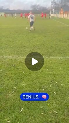 a soccer game is being played on the field with people in red and blue uniforms