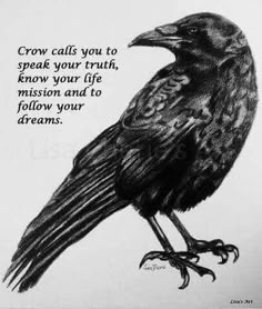 a drawing of a black bird sitting on top of a white sheet with the words crow calls you to speak your truth, know your life mission and to follow your dreams