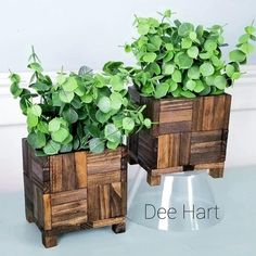 two wooden planters with green plants in them