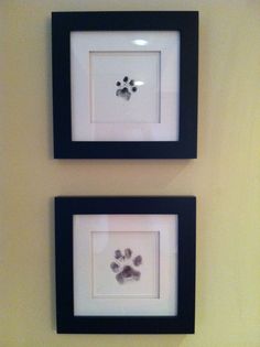 two framed pictures with an animal's paw prints on the wall next to each other