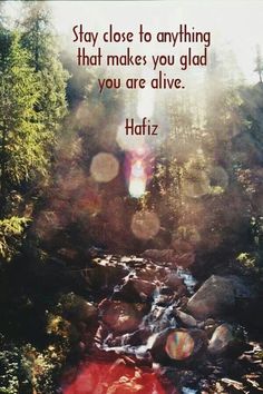 a river with rocks and trees in the background that says, stay close to anything that makes you glad you are alive hafiz