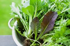 a bowl filled with lots of green leafy vegetables