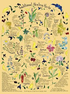 a poster with the words and flowers in each language, including their names on it