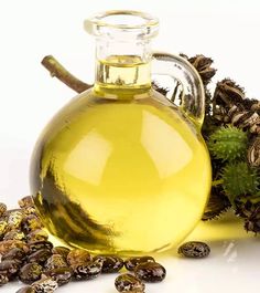 5 Best Ways To Use Castor Oil For Treating Dandruff Treating Dandruff, Oil For Eyelash Growth, Castor Oil For Acne, Hair Mask For Dandruff, How To Treat Dandruff, Oils For Dandruff, Castor Oil Eyelashes, Ayurvedic Hair Care, Castor Oil Benefits