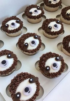 cupcakes with chocolate frosting decorated like hedgehogs are on a white tray