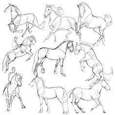 some horses that are standing in the same direction, each with different poses and body shapes