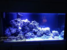 an aquarium filled with lots of rocks and water in the middle of a dark room