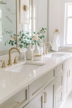 a bathroom with two sinks, mirrors and plants in vases on the countertop