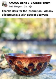 a brown and black bowl sitting on top of a rock