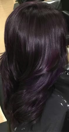 Purple Hair Highlights On Brown Hair, Dark Purple Highlights In Black Hair, Black Hair With Dark Purple Highlights, Plum Black Hair Color, Plum Highlights On Dark Hair, Black Plum Hair Color, Black Hair With Purple Tint, Plum Curly Hair