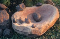 some rocks are sitting in the grass next to a tree