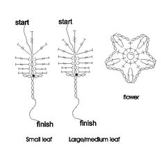 four different types of teeth and their corresponding parts are labeled in the diagram, including one with