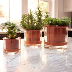 three potted plants sitting on top of a marble countertop next to a window