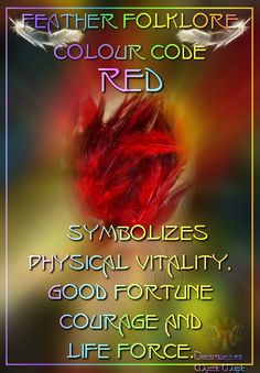 Red Canary, Talking Sticks, Animal Reiki, Animals Love, Code Red