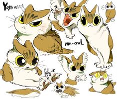 an image of some cats with different expressions